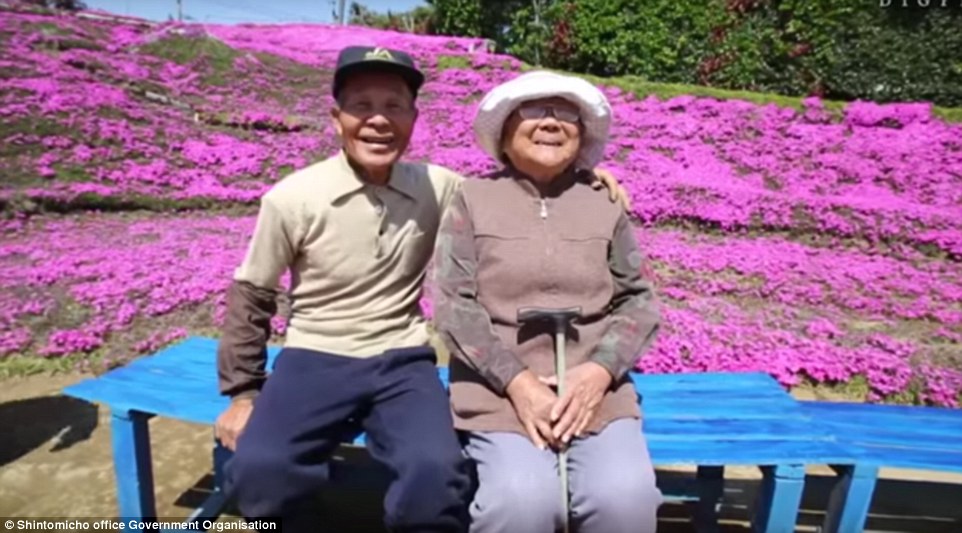 loving husband plants field of flowers for blind wife